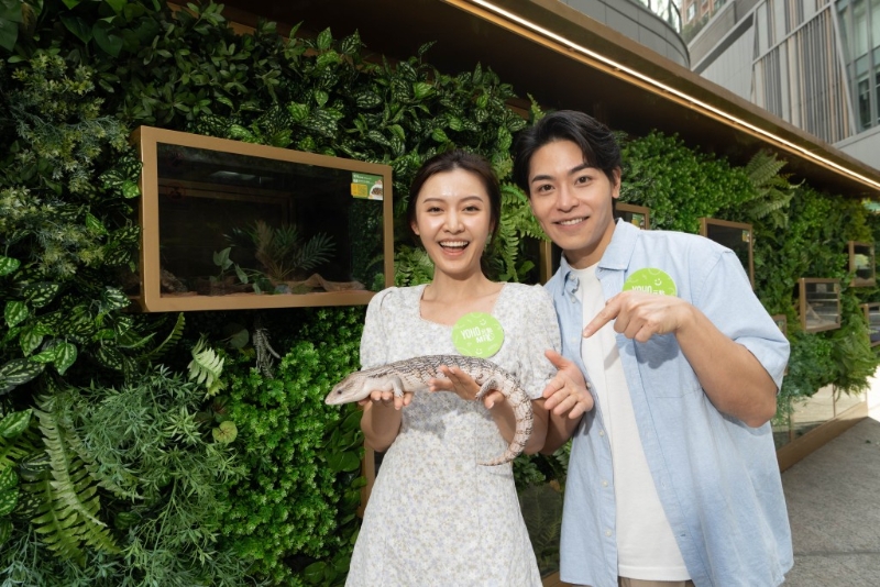 9大異寵派對體驗 9大異寵派對體驗