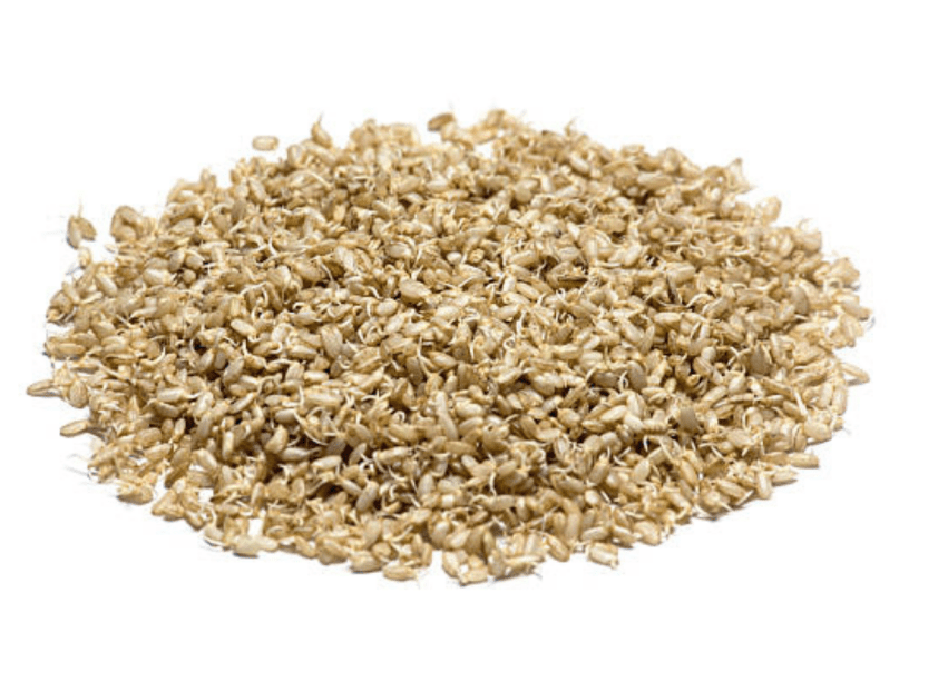 發芽糙米 發芽糙米