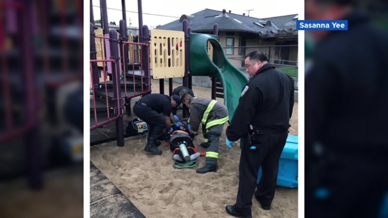 黃婆婆在公園遇襲 黃婆婆在公園遇襲