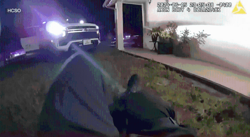 26歲副警長麥高夫）腿部中彈受傷倒地。