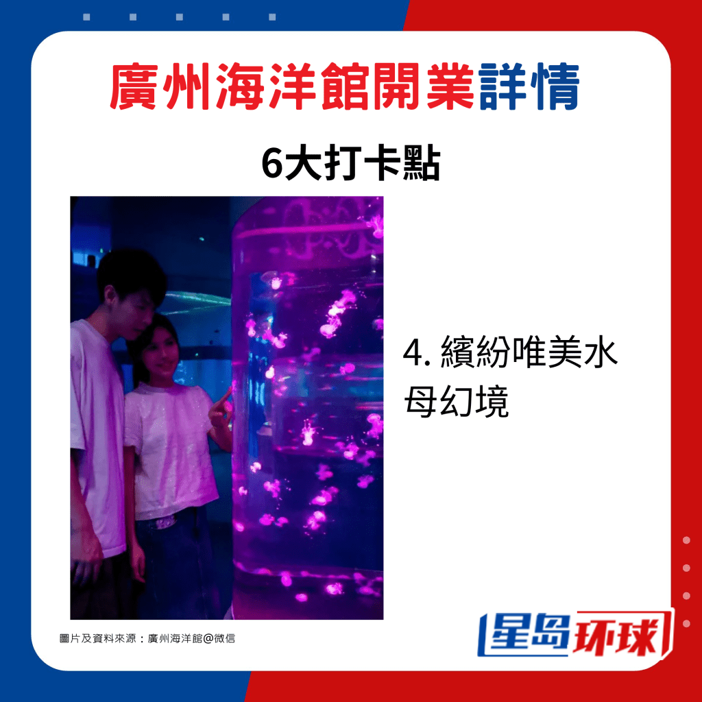 4. 繽紛唯美水母幻境 4. 繽紛唯美水母幻境