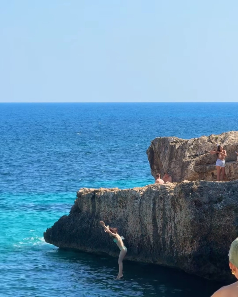 蔡嘉欣跳崖。