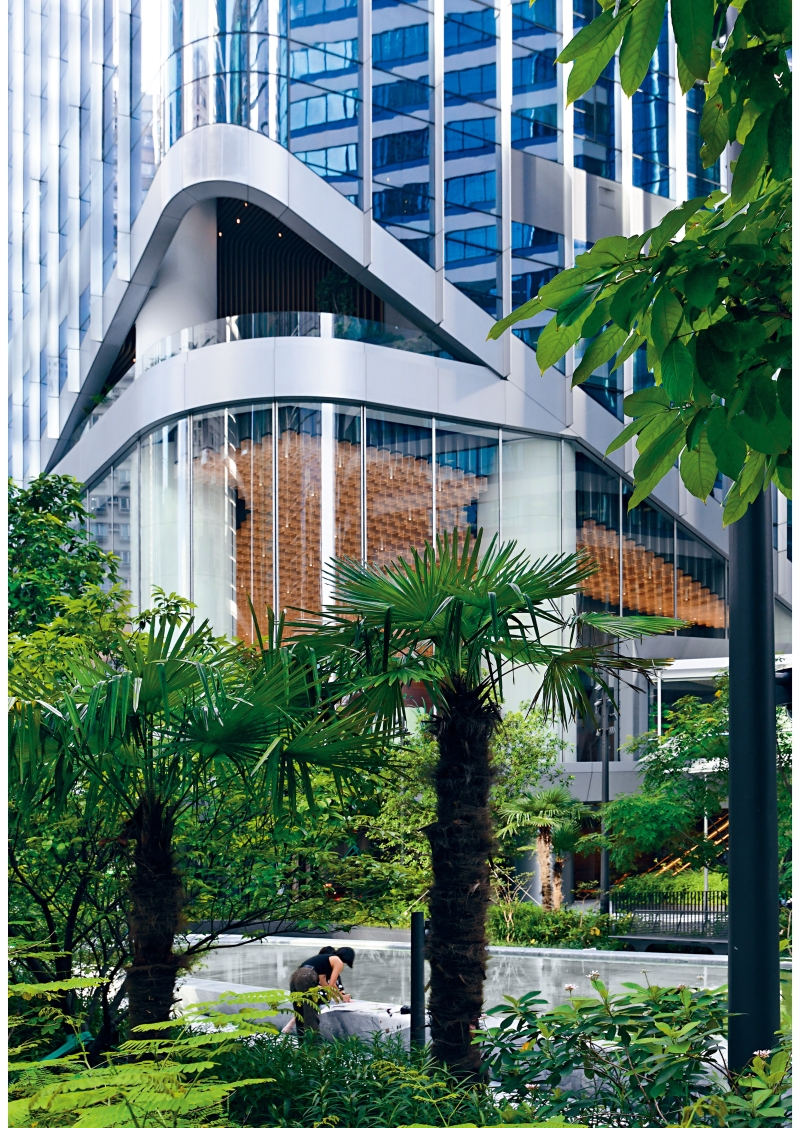 太古中央廣場.jpeg 太古中央廣場.jpeg