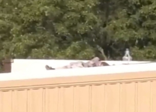 槍手伏尸屋頂。