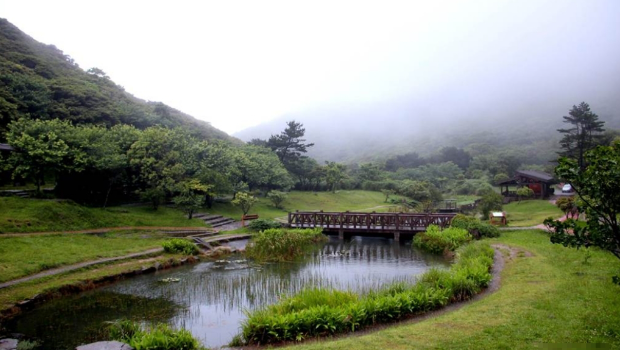 女登山客爬陽明山驚見妹子“全裸散步” 女登山客爬陽明山驚見妹子“全裸散步”