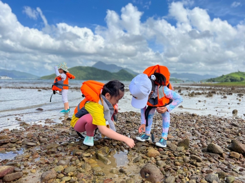 活動第1天會帶小朋友探訪水筆仔、招潮蟹、彈涂魚等紅樹林朋友，在淺水的海岸上忘我玩水。（圖片來源：Supway）