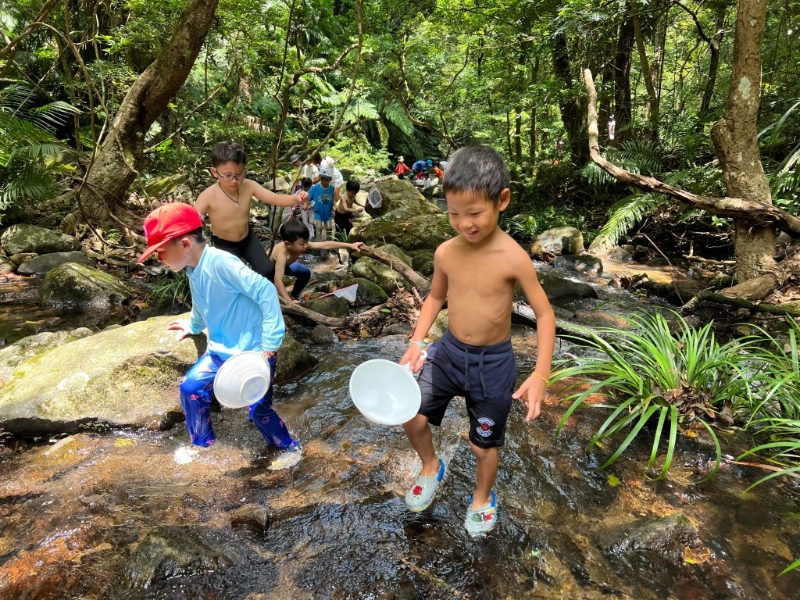 第2天將會走進香港其中一片最大的石澗，在河溪中消暑，也認識河流生態。（圖片來源：Supway）