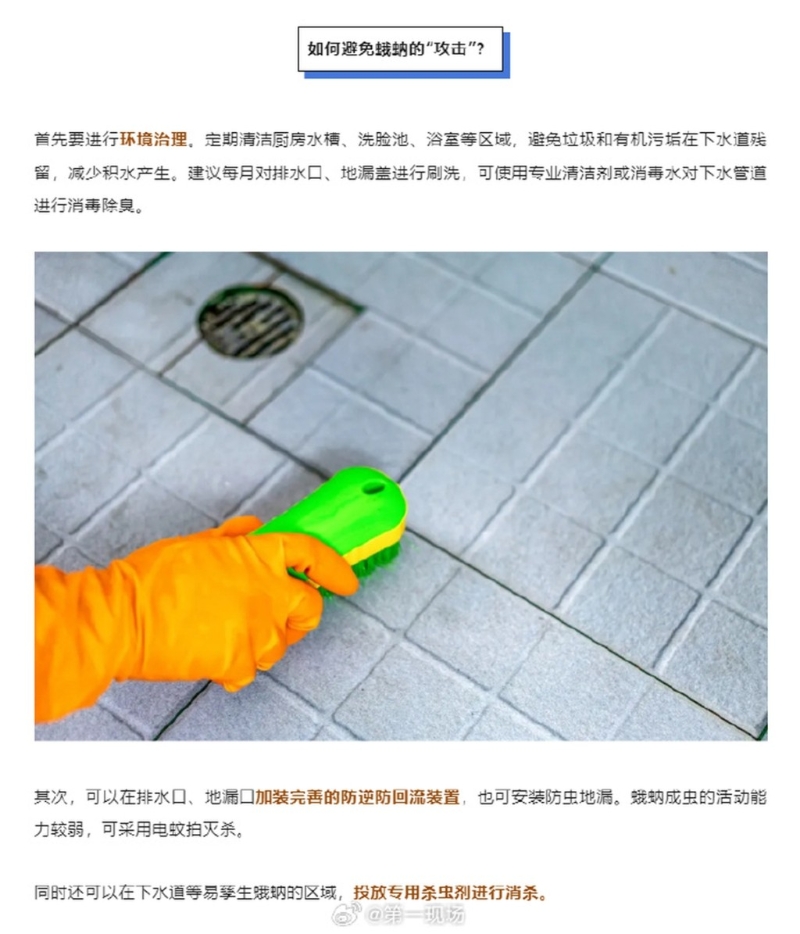 如何預防蛾蚋？