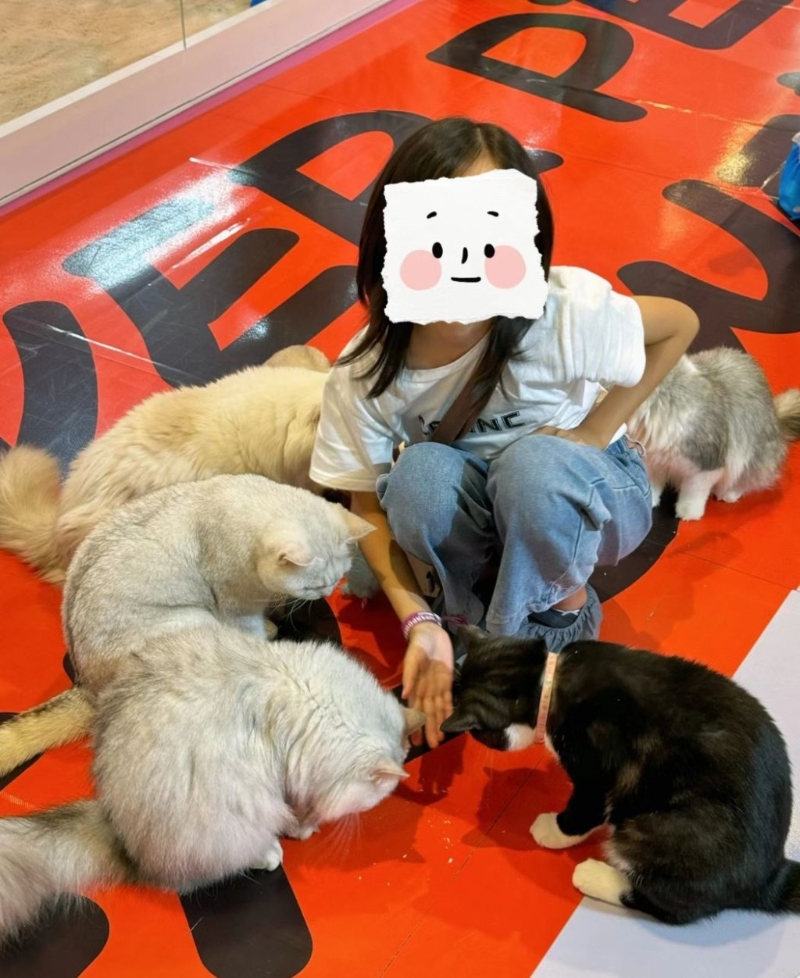 中山玩樂好去處2024｜4. 萬象匯 餐廳超能貓空間，有60只貓陪你玩。（圖片來源：小紅書＠雞絲飯）