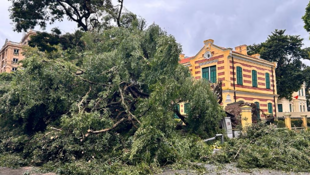 越南最少致68死 越南最少致68死