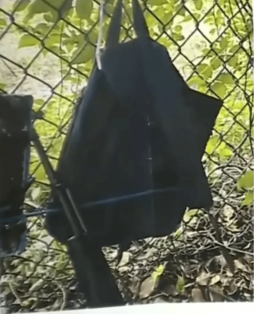 一把 AK47型槍及一個背囊 一把 AK47型槍及一個背囊