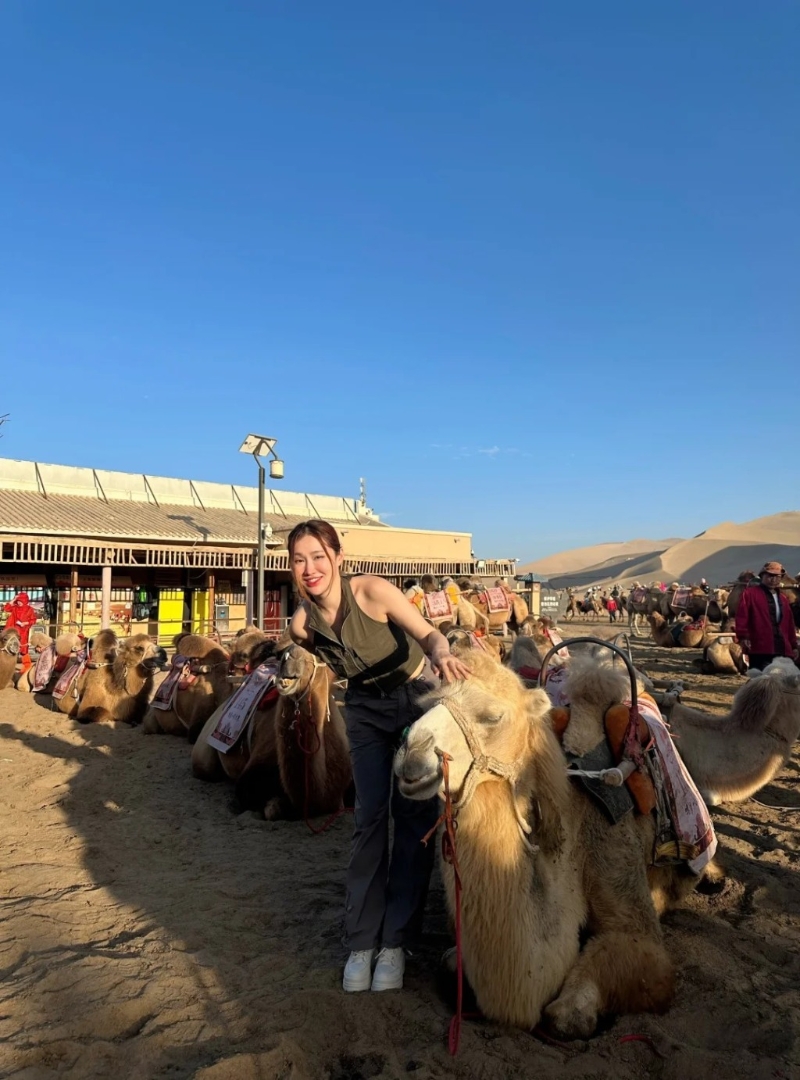 之前有指因游客太多令駱駝忍不住“罷工”，但從照片所見，不少駱駝都有時間休息。