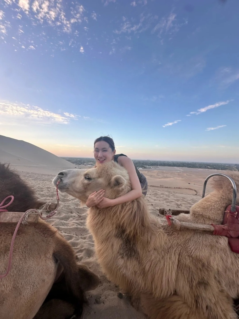 王冰冰更趁機攬住駱駝合照，又撫摸其頭部，令它舒服得閉起雙眼。