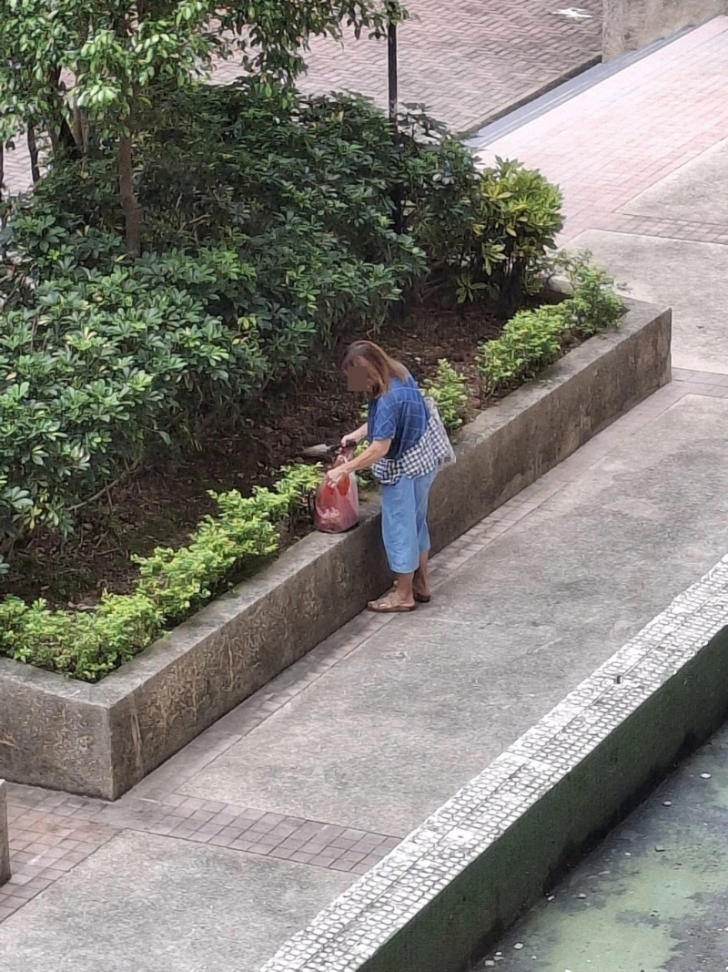 金發女子在花槽旁有所動作。 fb“筲箕灣西灣河關注組”截圖
