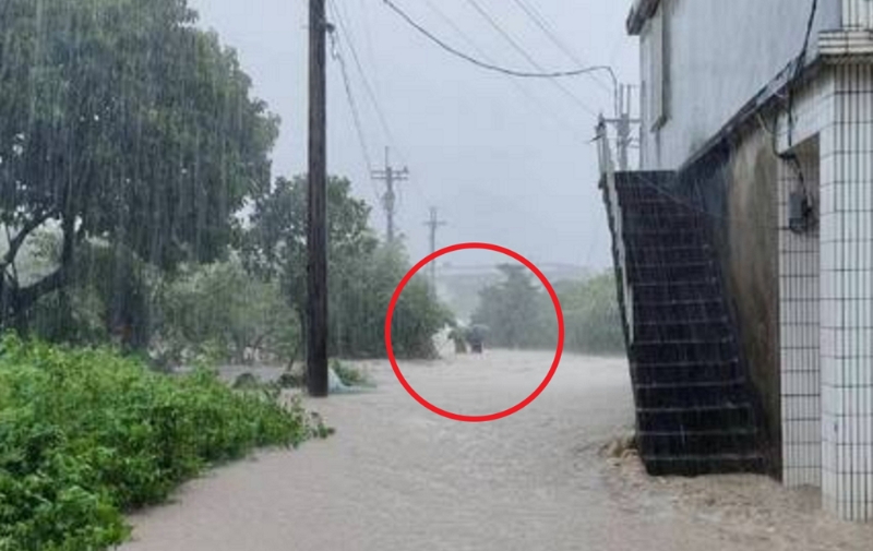 金山夫婦因溪水暴漲遭沖走雙亡，而夫妻倆最后身影也曝光。