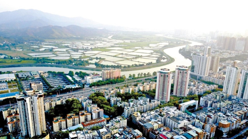 大灣區各市配合出臺政策取消妨礙樓市發展的限購令，加快包括新盤及二手交投。