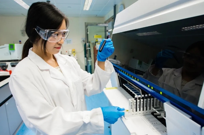 微信截圖_20241010163021