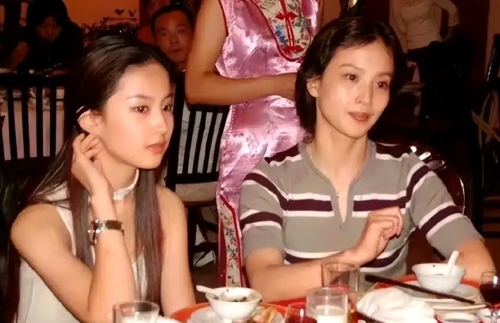 劉曉莉帶劉亦菲回國