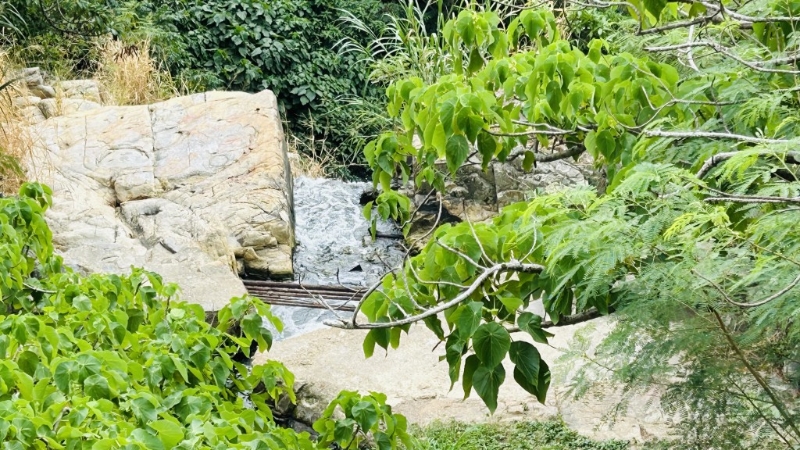 印尼籍女子伏尸瀑布底。