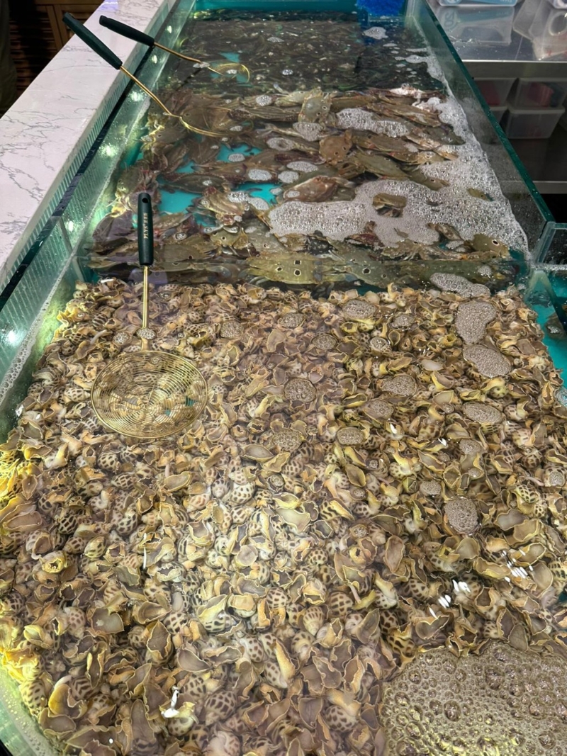 店內設有多個水池養殖不同種類的活海鮮(圖片來源：FB@千海水產海鮮火鍋放題-九龍灣店)