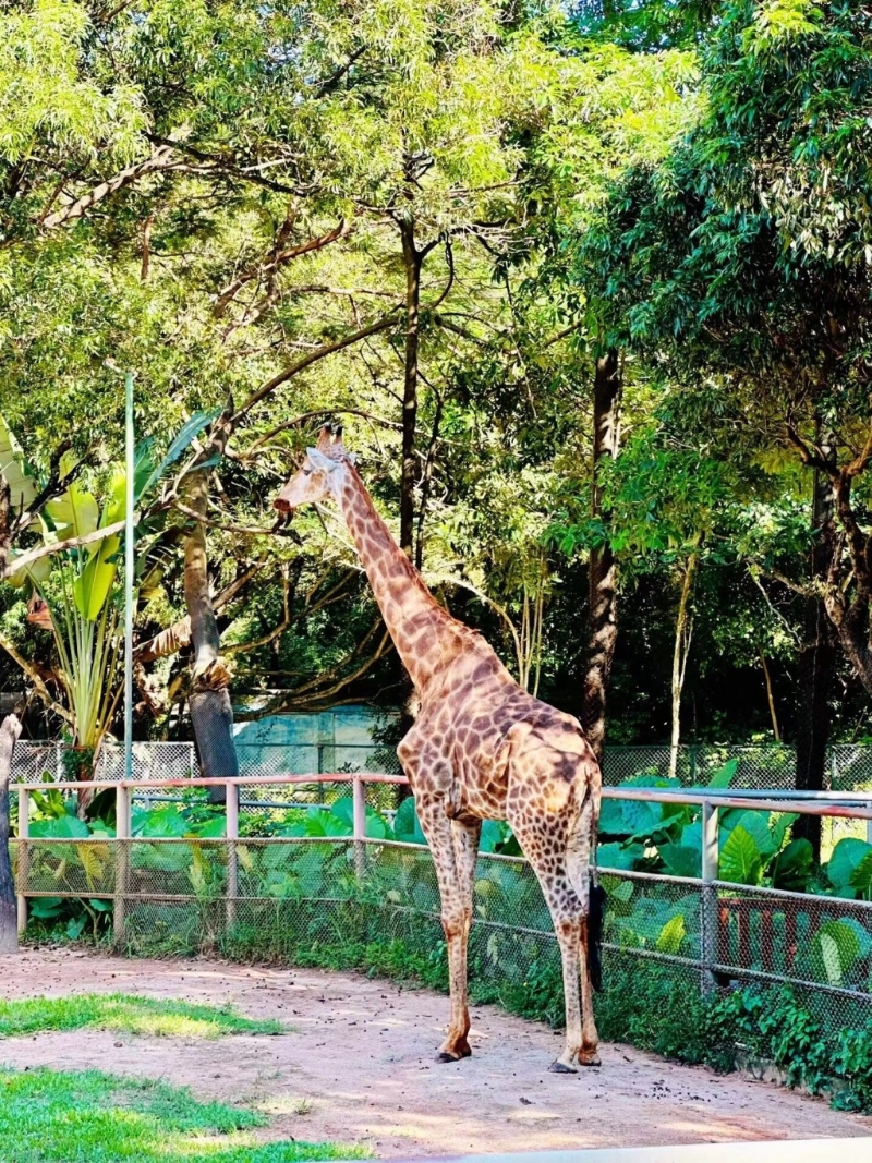 東莞圣誕節親子游 東莞圣誕節親子游
