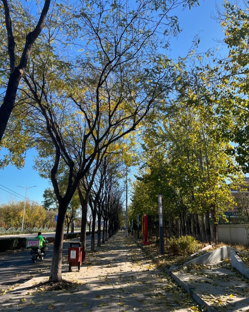 有網民認得梁洛施正身處北京。