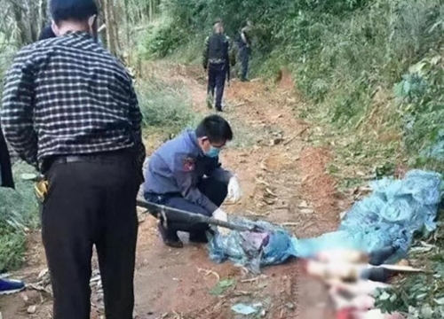 受害人被肢解成260多塊分棄多處。 示意圖。 網圖