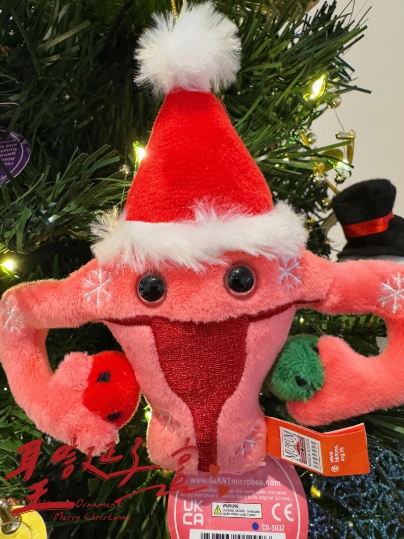 12月7日推出圣誕版子宮掛飾，將限量發售，各位粉絲快快去搶?。▓D片來源：Thread@hkmedicalmuseum）