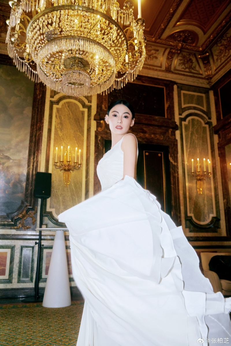 張栢芝去年突然停工，一度惹起不少揣測。