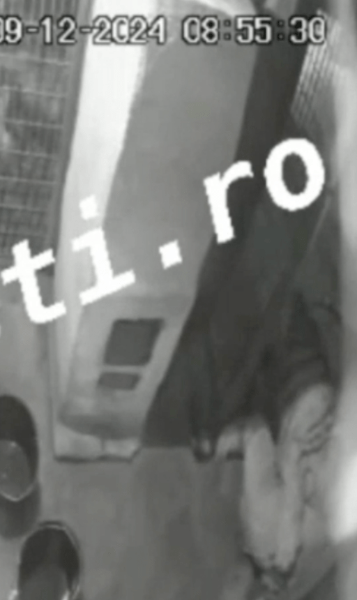 飼養員被撲倒 飼養員被撲倒