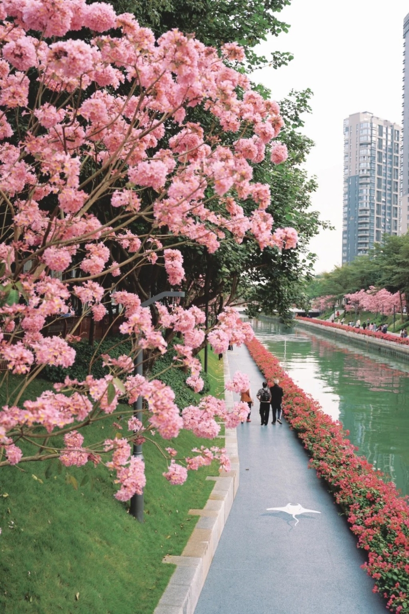 3. 后海中心河公園(圖片來源︰魔法小圓草@小紅書)