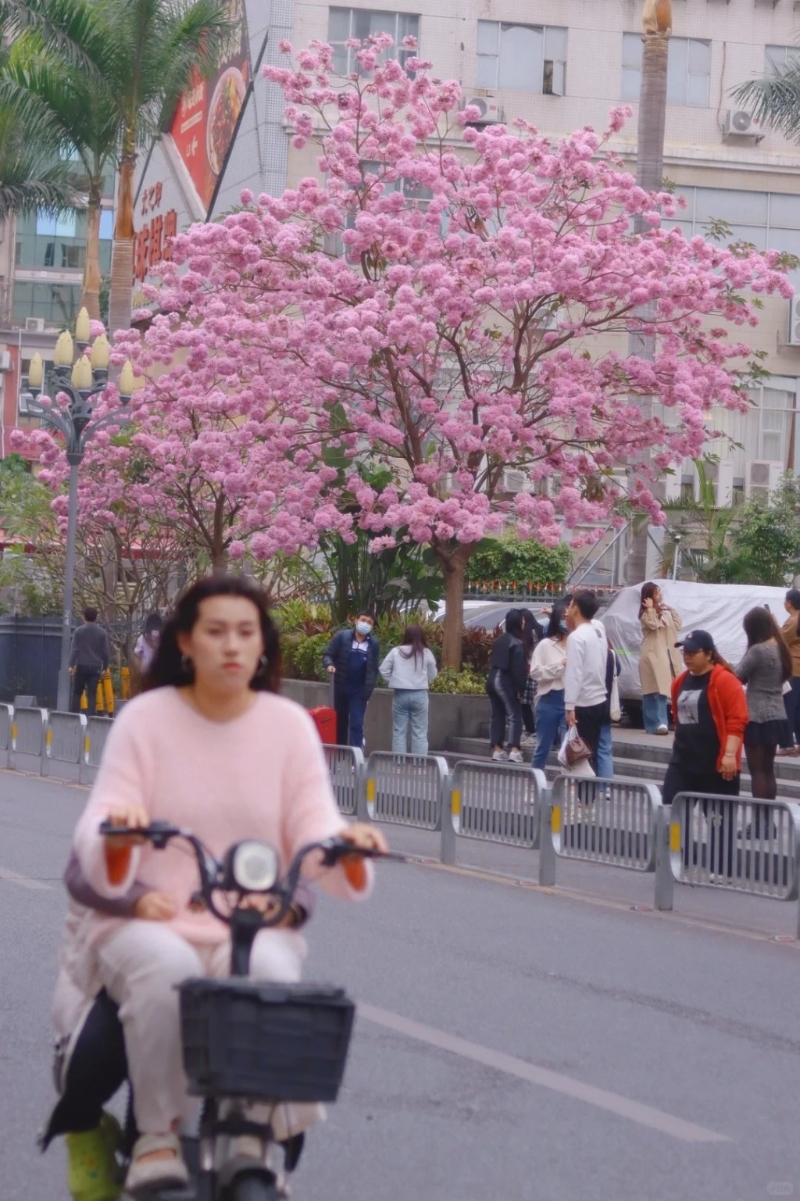 4. 清湖地鐵站C出口(圖片來源︰山海@小紅書)