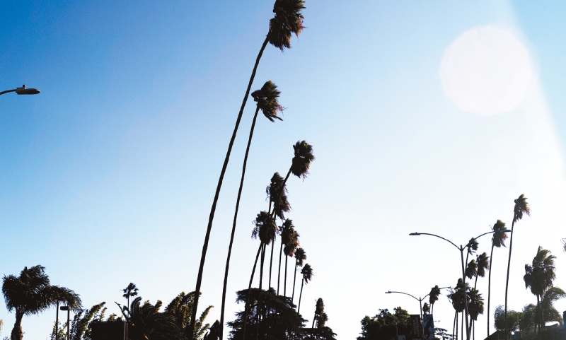 加州強風。