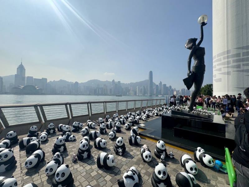 PANDA GO！香港游