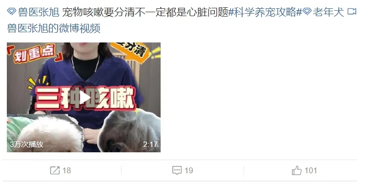 寵物咳嗽 寵物咳嗽