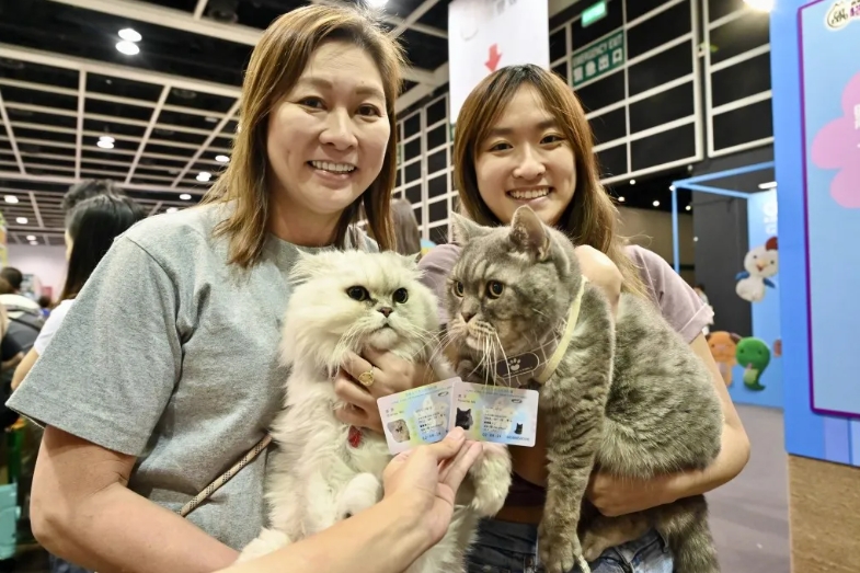 養貓人士 養貓人士