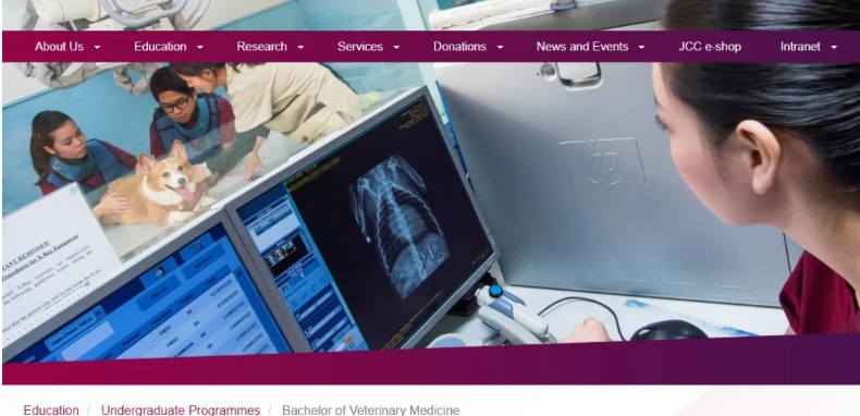 獸醫報讀 獸醫報讀