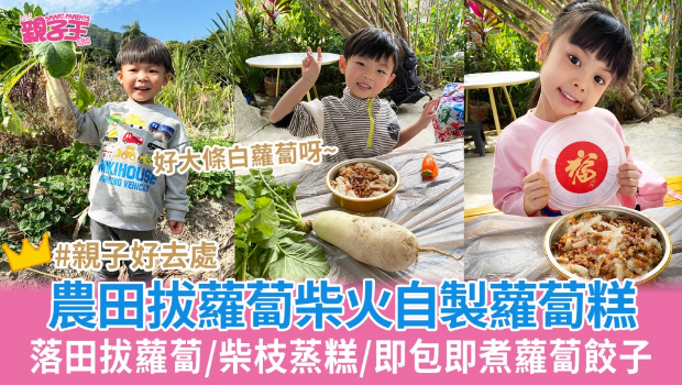 落田拔蘿卜用柴火蒸蘿卜糕 落田拔蘿卜用柴火蒸蘿卜糕