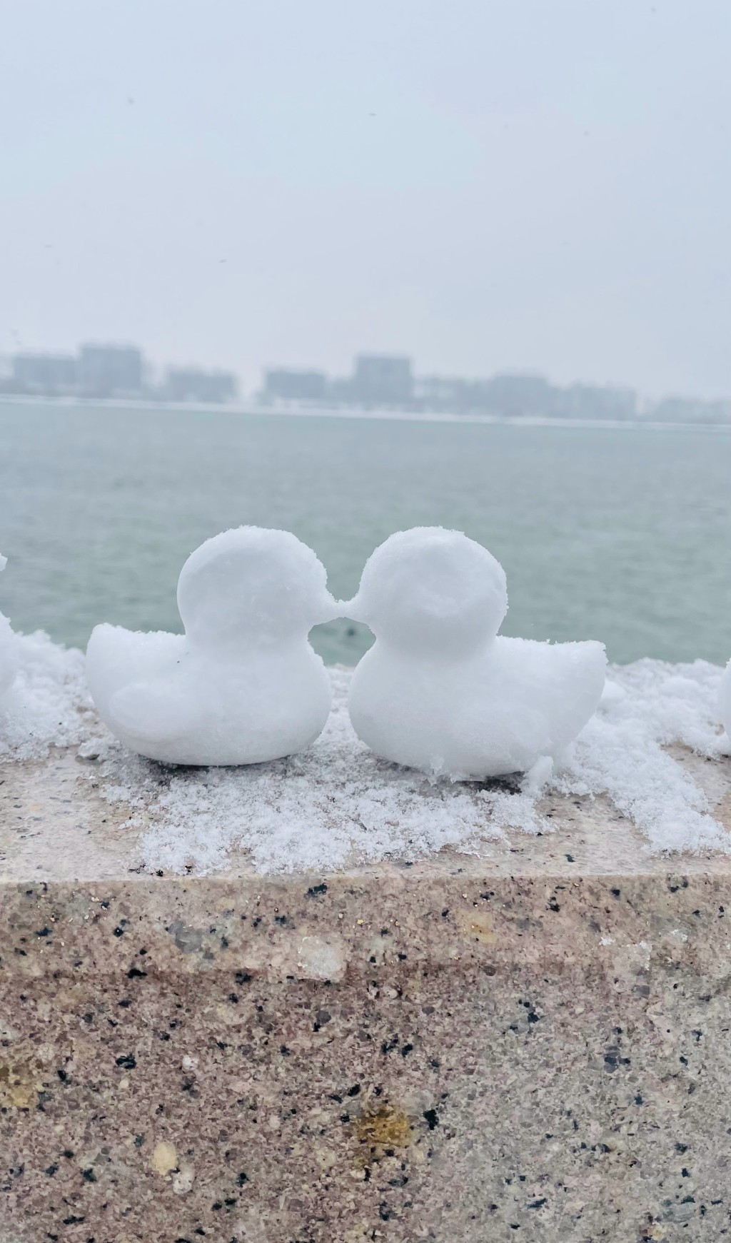 網民分享的街頭的雪景 網民分享的街頭的雪景