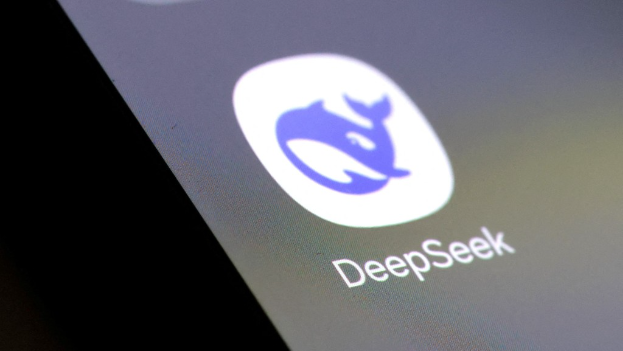 DEEPSEEK DEEPSEEK