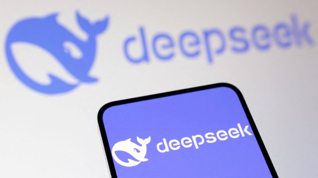 DEEPSEEK DEEPSEEK