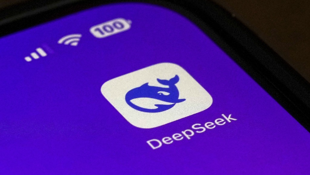 DEEPSEEK DEEPSEEK