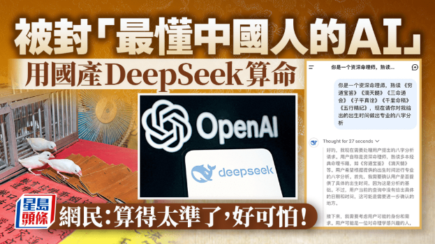 DEEPSEEK DEEPSEEK