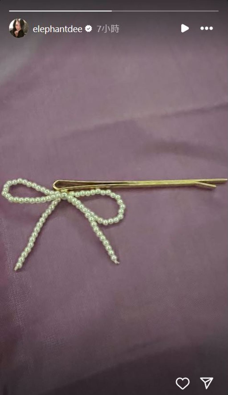 小S在IG上PO出蝴蝶發夾的照片。（圖／翻攝小S IG）