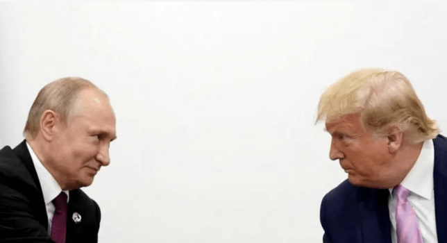 特朗普和普京 特朗普和普京