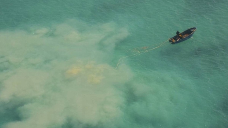 南海黃巖島。 美聯社