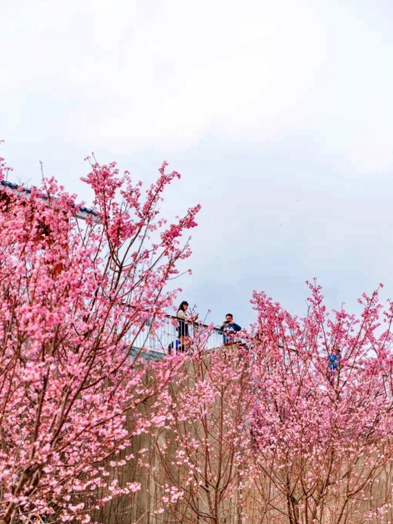 小三洲水庫位于鹽田區。（圖片來源：默言@小紅書）