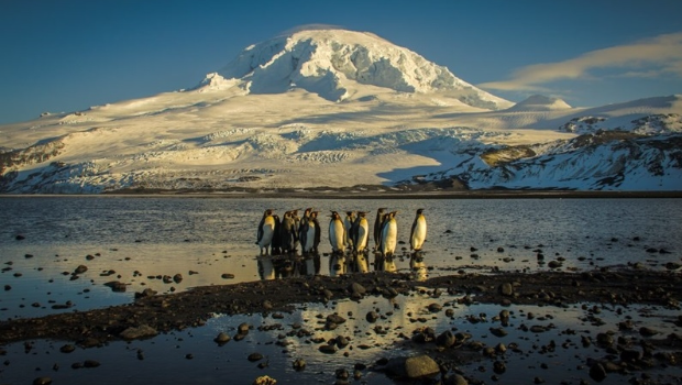 Heard and McDonald Islands?！“闹迖铱茖W局