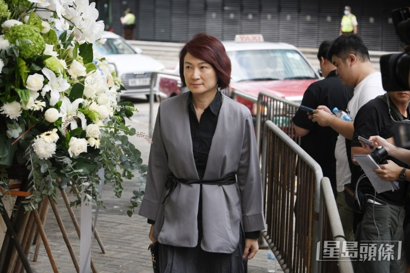 全國人大常委、民建聯李慧瓊。