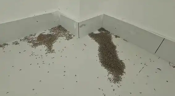 蚊子被熱死 蚊子被熱死